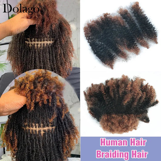 Human Braiding Hair Afro Kinky Curly Locks Hair Extensions Microlocs