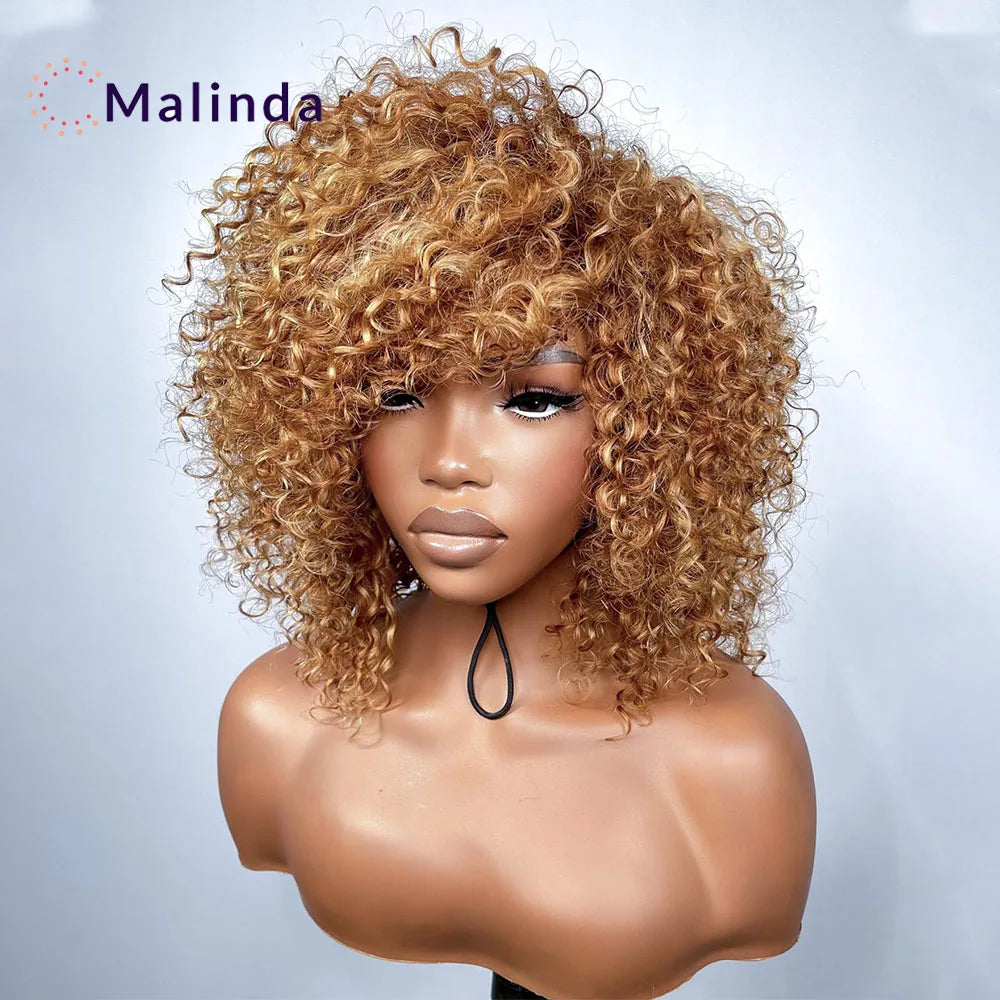 Honey Blonde Curly 13x4 Invisible Transparent Lace Front Wig